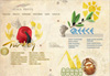 Custom Web Development Portfolio